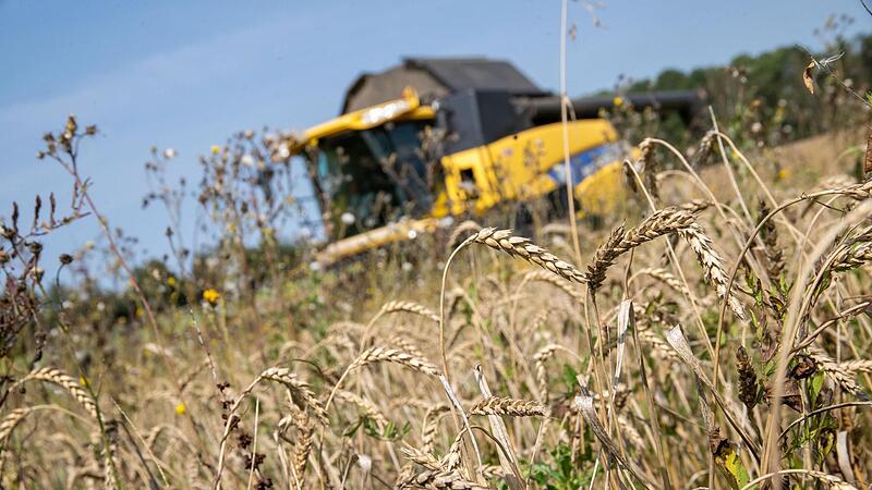 Bayerns Bauern kritisieren Mercosur-Abkommen.