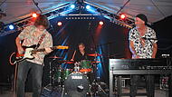 Das italienische Bluesrocktrio „Vise & The Combo“ mit (von links) Alberto Visentin, Carmine Bloisi und Pietro Taucher war eine Klasse für sich.