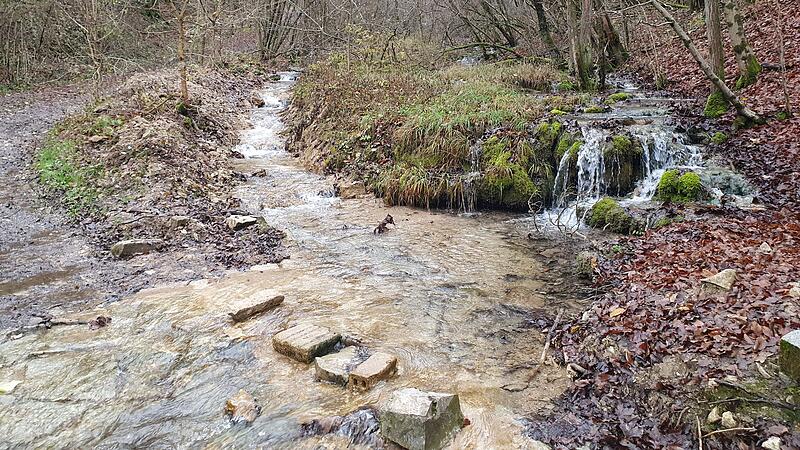 Eggersbach Forchheim Umwelt