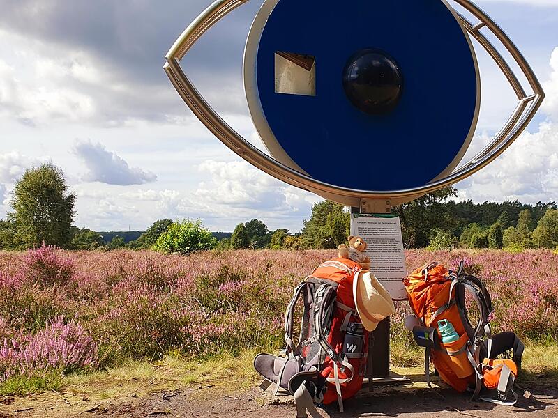 Der Lehrpfad am Schillohsberg vermittelt Wissenswertes über die Heide.