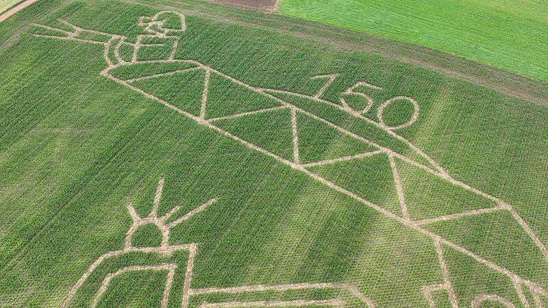 Maislabyrinth Gosberg 2024Forchheim & Fränkische Schweiz Maislabyrinth Gosberg 2024Forchheim & Fränkische Schweiz