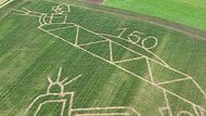 Maislabyrinth Gosberg 2024Forchheim & Fränkische Schweiz