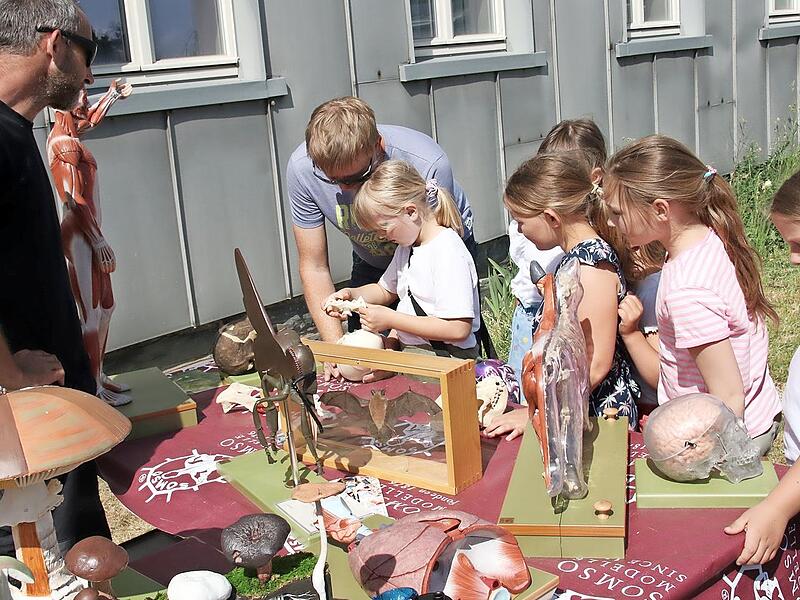 Knifflig ging es am Stand von Somso zu, dort musste ein Biologiemodell zusammengebaut werden. Knifflig ging es am Stand von Somso zu, dort musste ein Biologiemodell zusammengebaut werden.