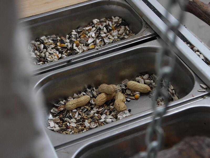 Das Futter der Tiere kommt von einem belgischen Lieferanten.Ein Blick in die Auffangstation f&uuml;r Papageien