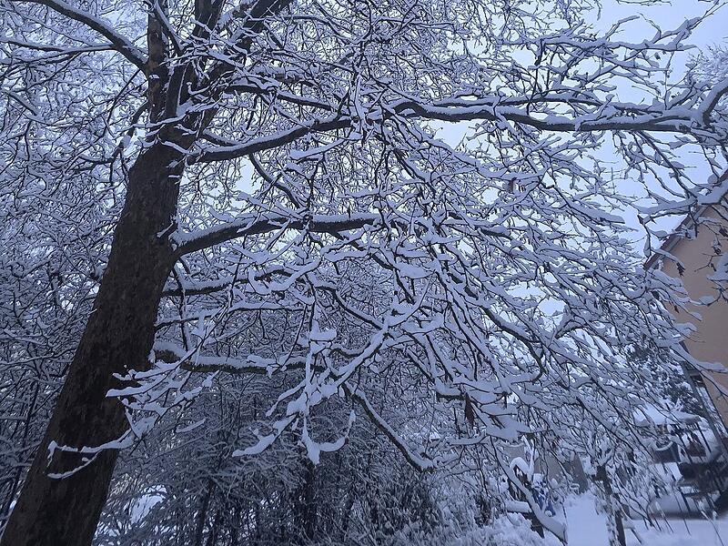 Schnee in Kulmbach: Die sch&ouml;nsten Leserfotos