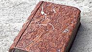 Buchskulpturen von Clemens Muth sind in der Anna-Kapelle zu sehen.Adelheid Waschka