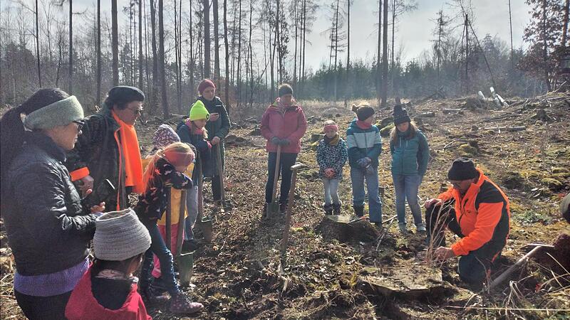 Worauf es beim Baumpflanzen ankommt, wurde genau erl&auml;utert.
