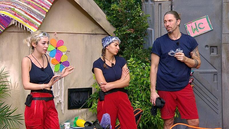 Ich bin ein Star - Holt mich hier raus!