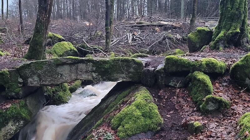 Vorher war sie schöner: Oberhalb des Geotops Dörflinger Ruh wurde an der Staatsstraße 2790 für den Ausbau des Hammelburger Bergs ein breiter Waldstreifen entfernt. Naturschützern gefällt das überhaupt nicht. Vorher war sie schöner: Oberhalb des Geotops Dörflinger Ruh wurde an der Staatsstraße 2790 für den Ausbau des Hammelburger Bergs ein breiter Waldstreifen entfernt. Naturschützern gefällt das überhaupt nicht.
