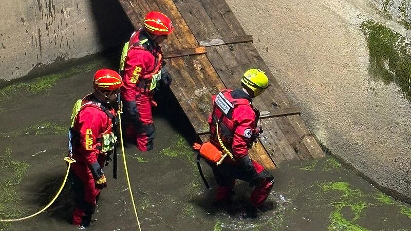 Tierrettungen in Bamberg Am vergangenen Dienstag wurde in Strullendorf ein Biber aus dem Überlaufbecken eines Kraftwerks gerettet.