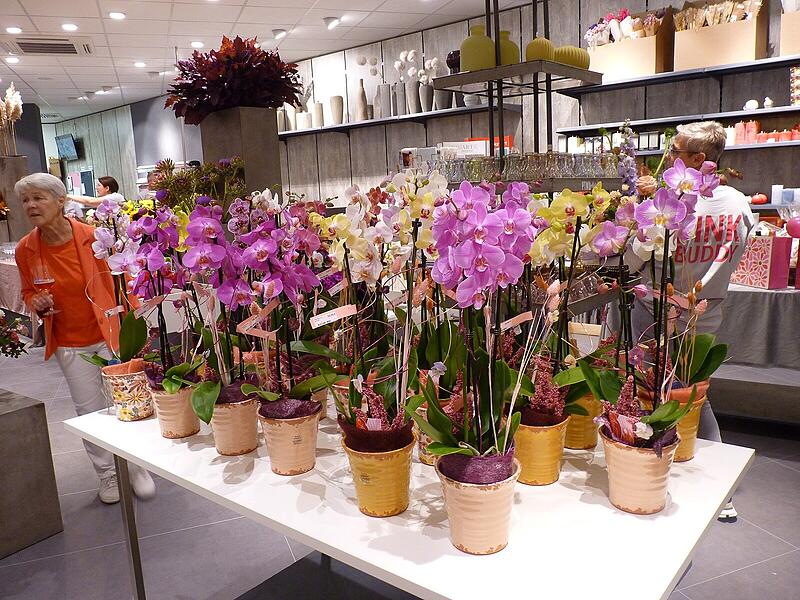 Ein Rundgang in Fotos: Das Angebot in den neuen Gesch&auml;ftsr&auml;umen von Blumen Lechner in H&ouml;chstadt
