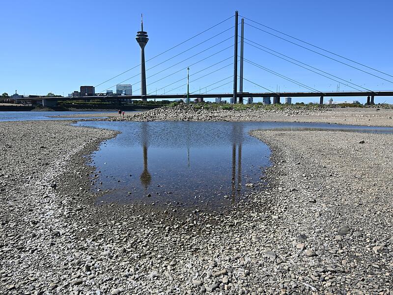 Niedrigwasser im Rhein Niedrigwasser im Rhein