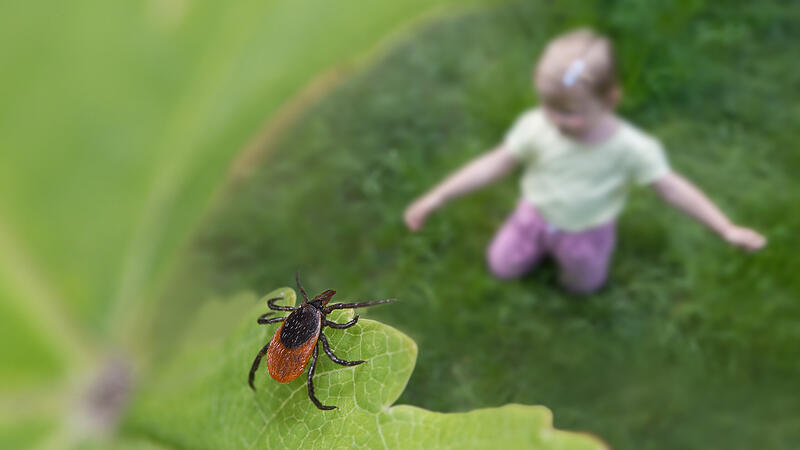 Klein, aber gef&auml;hrlich: So sch&uuml;tzen Sie Ihr Kind vor Zeckenstichen.