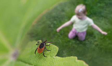 Klein, aber gef&auml;hrlich: So sch&uuml;tzen Sie Ihr Kind vor Zeckenstichen.