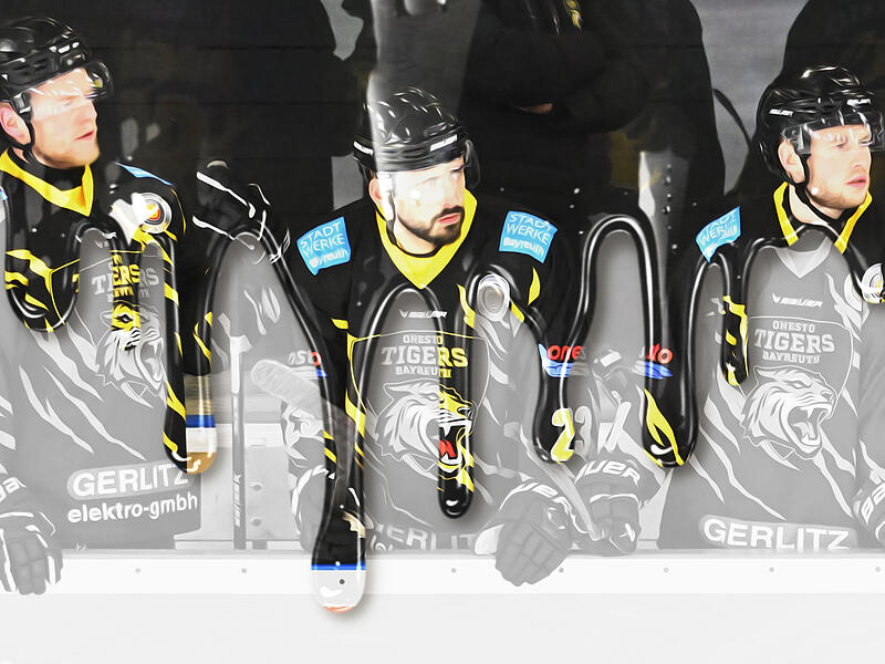 Wie steht es nun um die Bayreuth Tigers?