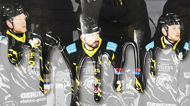 Wie steht es nun um die Bayreuth Tigers? Wie steht es nun um die Bayreuth Tigers?