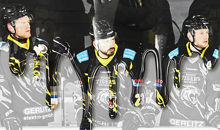 Wie steht es nun um die Bayreuth Tigers?