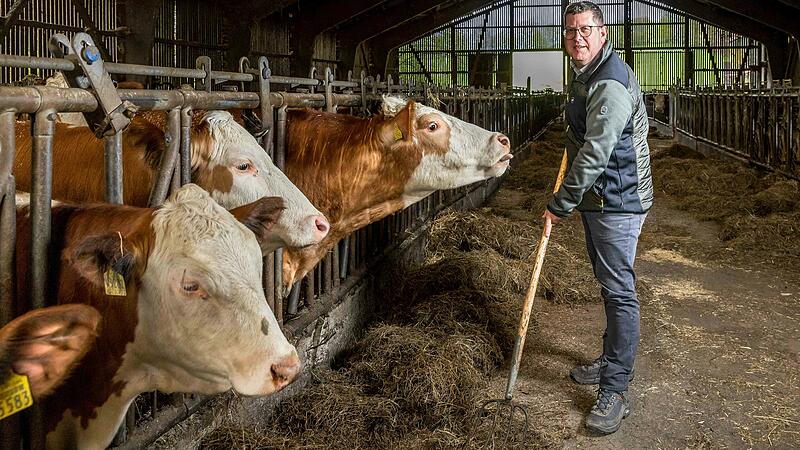 Auch als Europaabgeordneter will Stefan K&ouml;hler weiter auf seinem Bauernhof in Wiesen mitanpacken. Das Foto entstand bei einem Besuch im April.