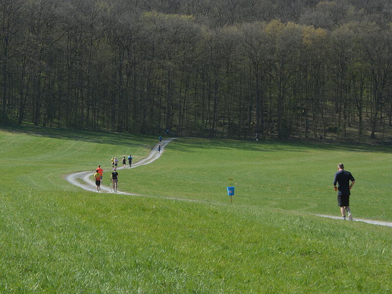 Bilderstrecke vom Saaletal-Marathon in RamsthalSaaletal-Marathon in Ramsthal