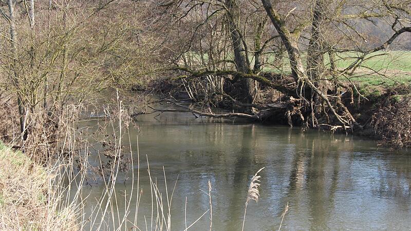 Die Fr&auml;nkische Saale im Landkreis Bad Kissingen bei Gro&szlig;enbrach.