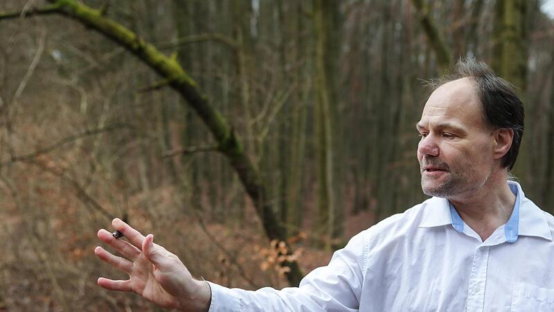 "Mathematik  bedeutet Strukturen erkennen", sagt           Alexander B&ouml;hm, der  30 Jahre   &uuml;ber den Satz des Fermat nachgedacht hat.Forchheim & Fr&auml;nkische Schweiz