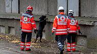 Fortsetzung der Suche nach Achtjährigem aus Güstrow