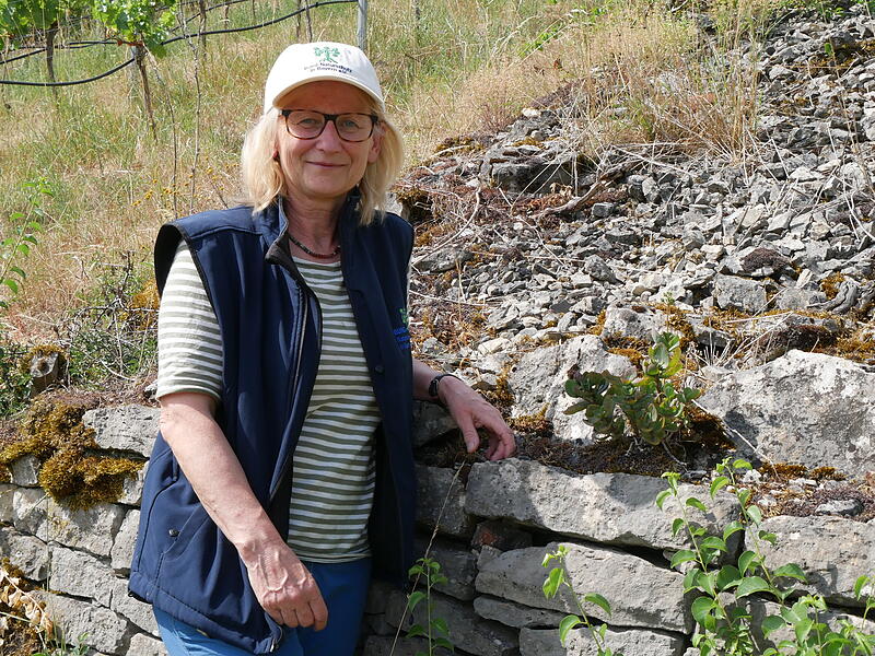Elisabeth Assmann entdeckt auf ihren Weinmauern immer weniger Fetthennen.