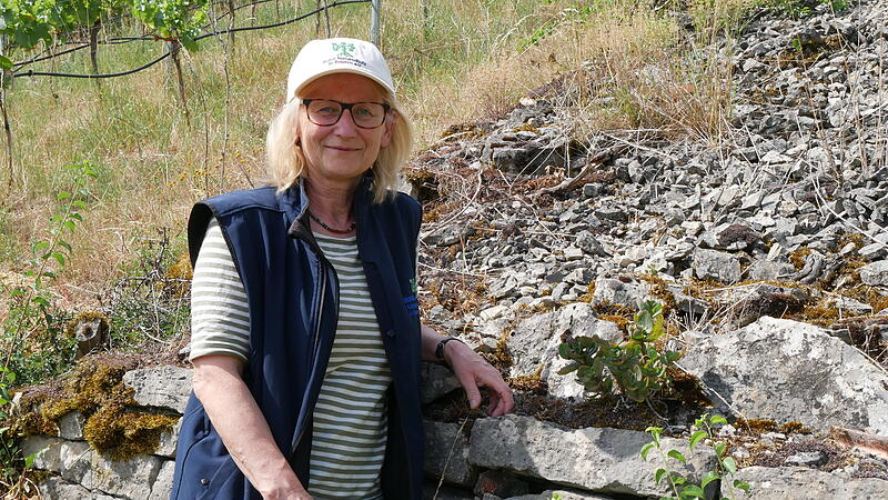 Elisabeth Assmann entdeckt auf ihren Weinmauern immer weniger Fetthennen.