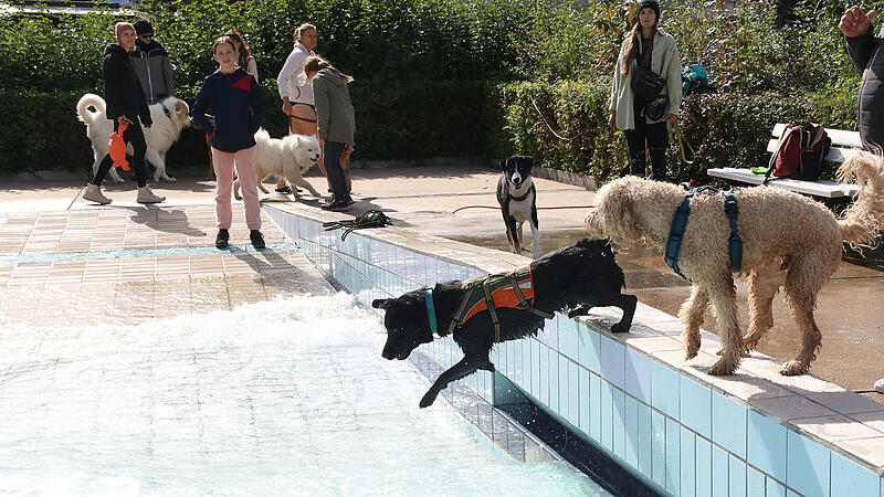 Hundebadetag Aquaria 2024Hundebadetag im Aquaria 2024 Hundebadetag Aquaria 2024Hundebadetag im Aquaria 2024