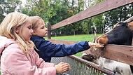 Die Kinder lernten nicht nur in der Theorie, welche Tiere welches Futter brauchen, sondern durften die Ziegen Lola und Hilde direkt selbst füttern.