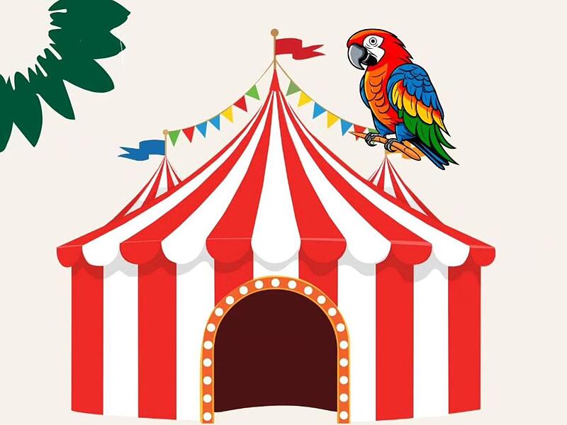 Ein Zirkus kommt nach Coburg – nur der Vertreter der Grünen hatte dagegen gestimmt.