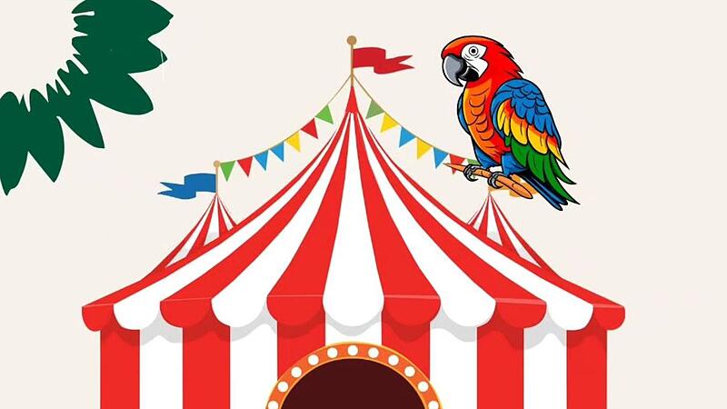 Ein Zirkus kommt nach Coburg – nur der Vertreter der Grünen hatte dagegen gestimmt.