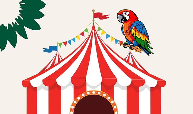 Ein Zirkus kommt nach Coburg – nur der Vertreter der Grünen hatte dagegen gestimmt.