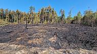Waldbrand bei Oberhaid Waldbrand bei Oberhaid