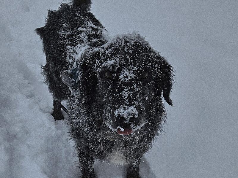 Schnee in Kulmbach: Die sch&ouml;nsten Leserfotos