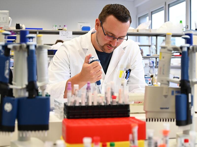 Ein Mitarbeiter von Laboklin bei der Arbeit. Ein Mitarbeiter von Laboklin bei der Arbeit.