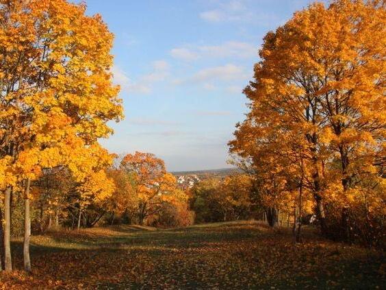 Im Herbst l&auml;sst sich beim Wandern  auf der  &bdquo;Extratour Michelsberg&ldquo; bei M&uuml;nnerstadt der Indian Summer erleben.