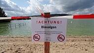 Ein Wermutstropfen in einer sonst guten Saison war der Blaualgenbefall am Rudufersee in Michelau.
