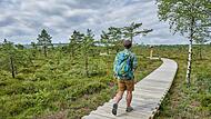 Das Schwarze Moor ist nicht nur für Touristen ein Ziel. 2024 sind mehr Gäste in die Rhön gekommen. Das Schwarze Moor ist nicht nur für Touristen ein Ziel. 2024 sind mehr Gäste in die Rhön gekommen.