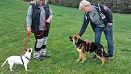 Die Kehlbacher Hunde tollen gerne herum.