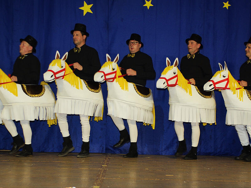 Fasching Fuchsstadt