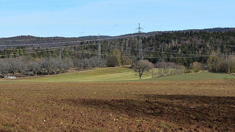 Auf diesem Gel&auml;nde soll ein Teil der Photovoltaikanlage entstehen.Forchheim & Fr&auml;nkische Schweiz