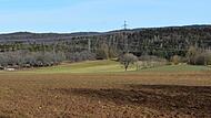Auf diesem Gelände soll ein Teil der Photovoltaikanlage entstehen.Forchheim & Fränkische Schweiz Auf diesem Gelände soll ein Teil der Photovoltaikanlage entstehen.Forchheim & Fränkische Schweiz
