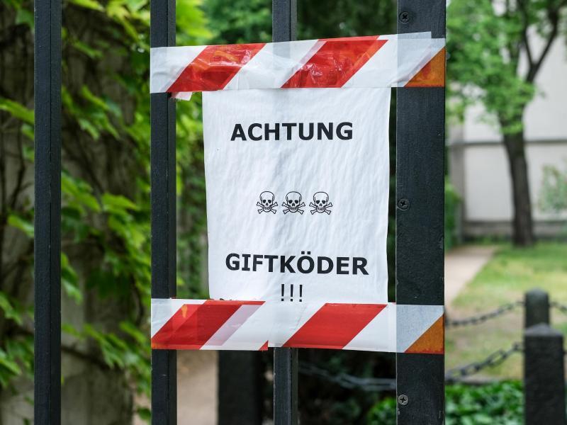 Hund vor Giftködern schützen
