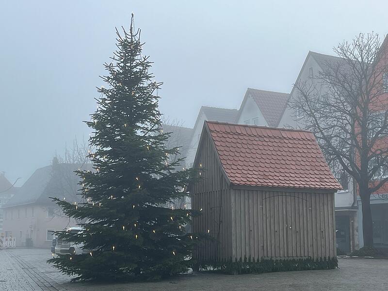 Weihnachten gr&uuml;n oder wei&szlig;? Noch ist das im Landkreis Forchheim schwer zu erkennen.