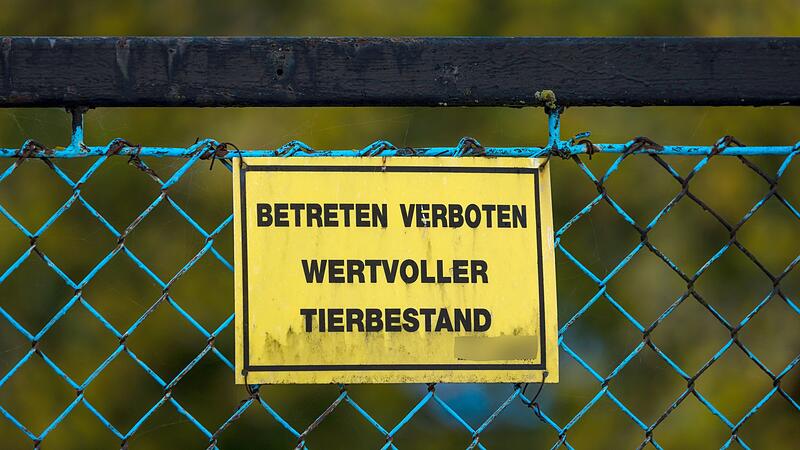 Vogelgrippe - Neuhardenberg