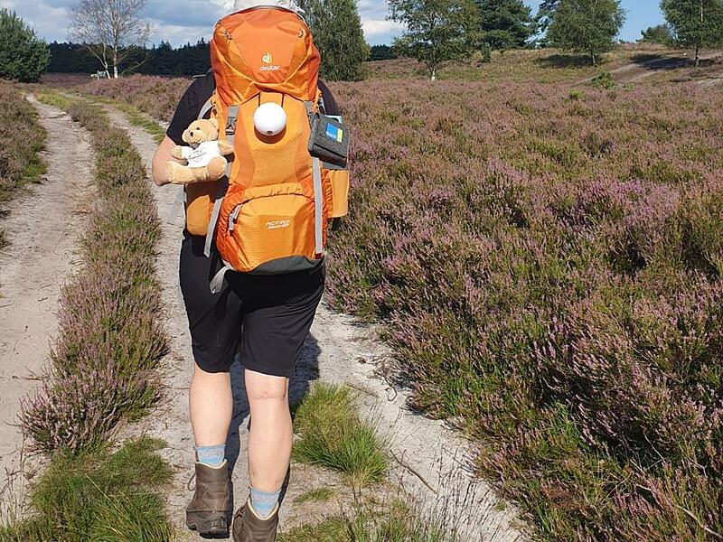 Mit schwerem Gepäck auf dem Heidschnuckenweg2023 Wanderinnen auf dem  Heidschnuckenweg