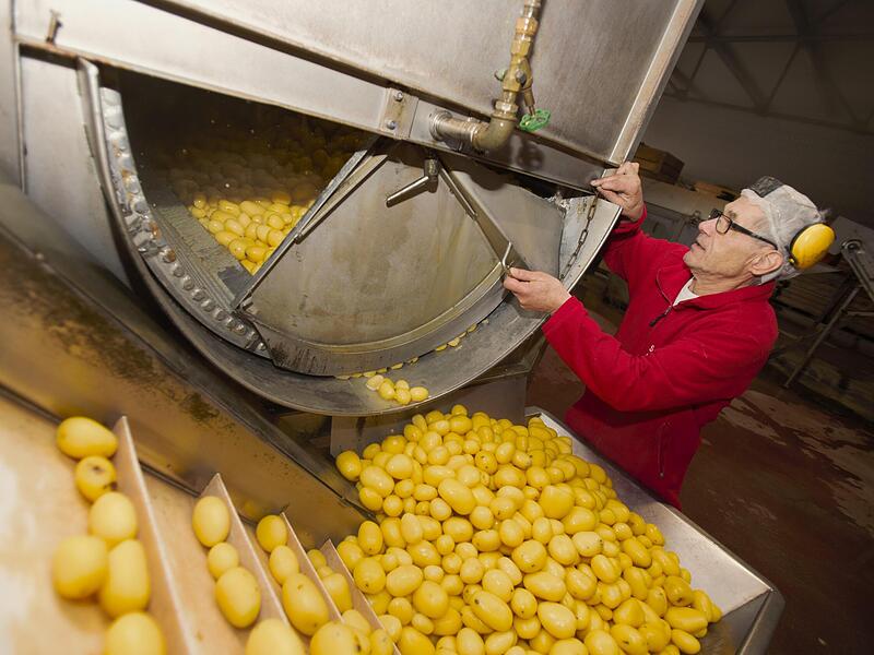 In Hochphasen werden hier pro Woche bis zu 30 Tonnen Kartoffeln verarbeitet.Forchheim & Fr&auml;nkische Schweiz