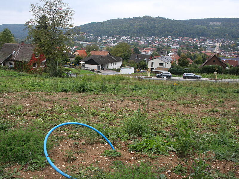 Hier, im Baugebiet Debert II, sollen in Ebrmannstadt neue Häuser entstehen – mit schönem Ausblick.
