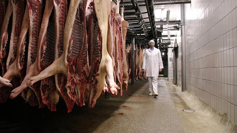 Schweinehälften im mittlerweile geschlossenen Bamberger Schlachthof